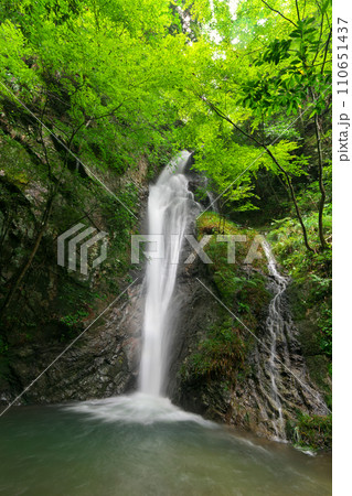 南天の滝 岐阜県川辺町 南天の滝 岐阜県川辺町 110651437