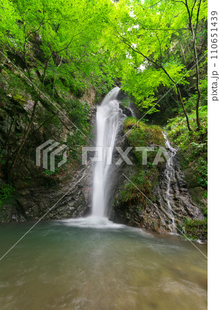 南天の滝　岐阜県川辺町 110651439