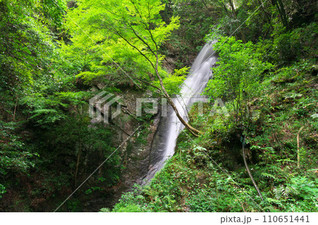 南天の滝 岐阜県川辺町 南天の滝 岐阜県川辺町 110651441