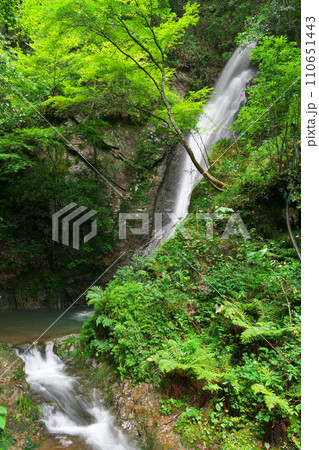 南天の滝 岐阜県川辺町 南天の滝 岐阜県川辺町 110651443