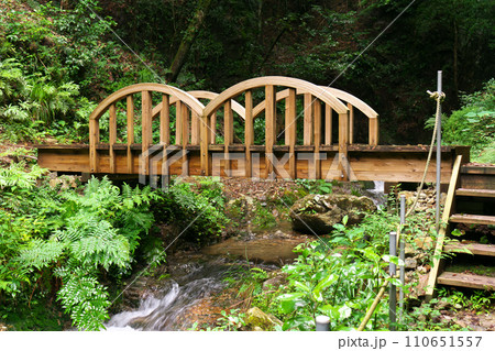 南天の滝へ通じる橋 岐阜県川辺町 南天の滝へ通じる橋 岐阜県川辺町 110651557