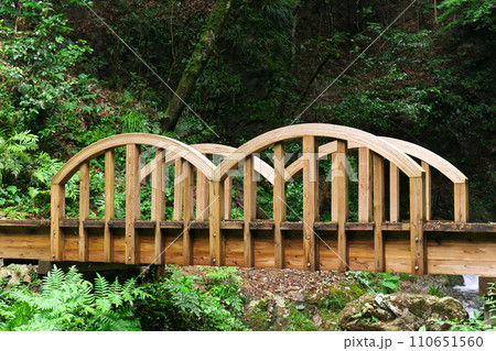 南天の滝へ通じる橋 岐阜県川辺町 南天の滝へ通じる橋 岐阜県川辺町 110651560