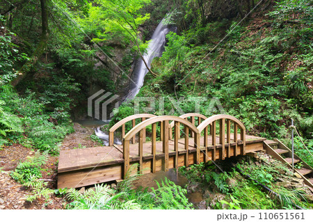 南天の滝へ通じる橋　岐阜県川辺町 110651561