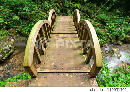 南天の滝へ通じる橋 岐阜県川辺町 南天の滝へ通じる橋 岐阜県川辺町 110651562