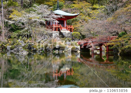 世界文化遺産 京都 醍醐寺 弁天堂と桜 世界文化遺産 京都 醍醐寺 弁天堂と桜 110653856