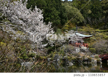世界文化遺産　京都　醍醐寺　弁天堂と桜 110653857
