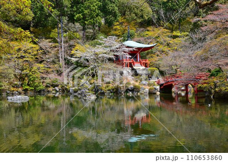 世界文化遺産　京都　醍醐寺　弁天堂と桜 110653860
