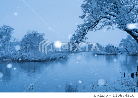 雪降り積もる滋賀県高島市新旭町針江大川の河口を撮影 雪降り積もる滋賀県高島市新旭町針江大川の河口を撮影 110654216