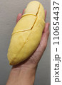 Closeup lady hand holding yellowish organic riped durian isolated on grey background, Southeast asia tropical smell fruit 110654437