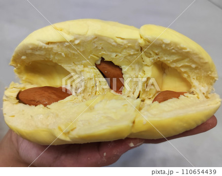 Closeup lady hand holding yellowish organic riped durian with tiny seeds isolated on grey background, Southeast asia tropical smell fruit 110654439