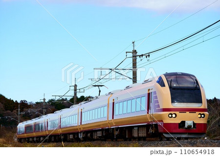 初詣列車として成田線に入線したE653系国鉄色 110654918