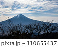 三ツ峠山から望む富士山 110655437
