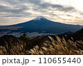 三ツ峠山から望む富士山 110655440