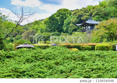 勧修寺　勧修寺灯篭と観音堂（京都市山科区） 110656046