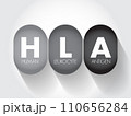 HLA Human Leukocyte Antigen - complex of genes on chromosome 6 in humans which encode cell-surface proteins, acronym text concept background 110656284