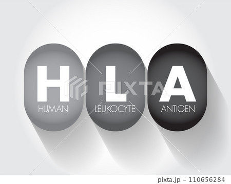 HLA Human Leukocyte Antigen - complex of genes on chromosome 6 in humans which encode cell-surface proteins, acronym text concept background 110656284
