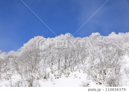 ネコママウンテン ネコママウンテン 110656379