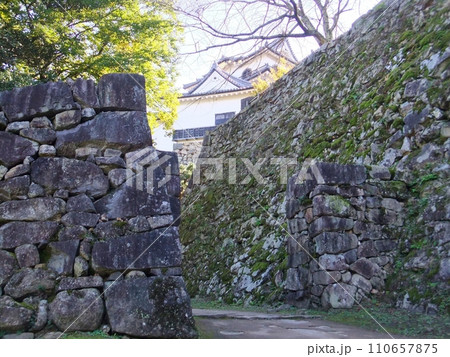 彦根城 黒門山道 彦根城 黒門山道 110657875