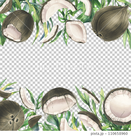 Coconuts whole, halves and pieces with bright, green, tropical palm leaves. Hand drawn watercolor illustration. Template frame isolated from the background. 110658960