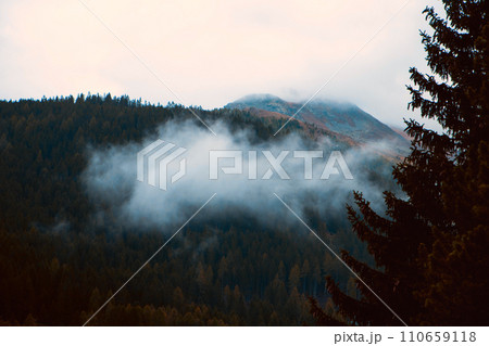Veiled in Mist: Dawn's Reveals a Mountain's Splendor Beyond the Whispering Pines Veiled in Mist: Dawn's Reveals a Mountain's Splendor Beyond the Whispering Pines 110659118