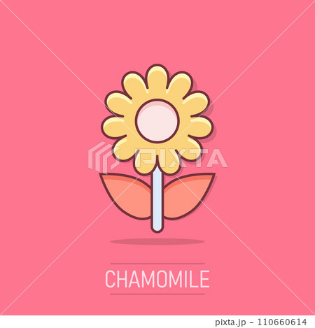 Vector cartoon chamomile flower icon in comic style. Daisy concept illustration pictogram. Camomile business splash effect concept. 110660614