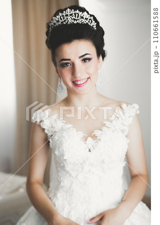 Portrait of beautiful bride with fashion veil at wedding morning Portrait of beautiful bride with fashion veil at wedding morning 110661588
