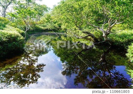 石狩岳のブヨ沼 110661803