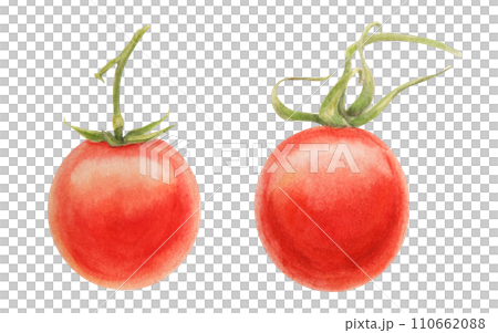Fresh ripe cherry tomatoes on branch. Hand drawn watercolor illustration of red organic vegetable, close-up, vegetarian food, natural ingredient, package design element. Realistic botanical painting 110662088
