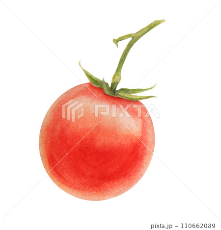 Fresh ripe cherry tomatoes on branch. Hand drawn watercolor illustration of red organic vegetable, close-up, vegetarian food, natural ingredient, package design element. Realistic botanical painting 110662089