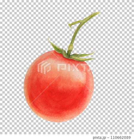 Fresh ripe cherry tomatoes on branch. Hand drawn watercolor illustration of red organic vegetable, close-up, vegetarian food, natural ingredient, package design element. Realistic botanical painting 110662089