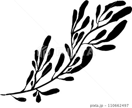 Leaf Grunge Artwork Brush Silhouette Element 110662497