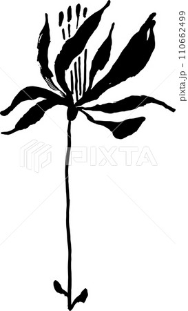 Hand Drawn Brush Ink Grunge Iris Flower 110662499