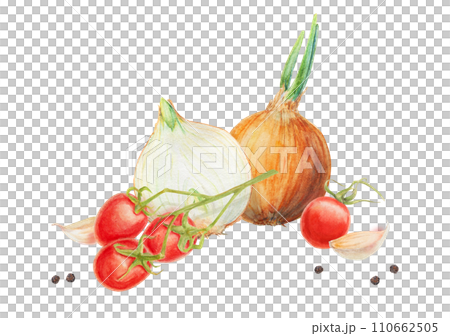 Fresh ripe cherry tomato on branch, onion, garlic, pepper. Hand drawn watercolor illustration of red organic vegetable, close-up, vegetarian food, natural ingredient, package design element, painting Fresh ripe cherry tomato on branch, onion, garlic, pepper. Hand drawn watercolor illustration of red organic vegetable, close-up, vegetarian food, natural ingredient, package design element, painting 110662505