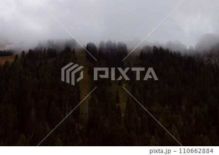 Veiled Heights: A Mountain Forest Cloaked in Fog, Creating a Scene of Mystique  110662884