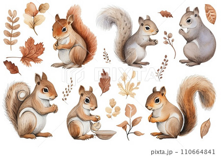 Set of Squirrel in different poses, watercolor style design 110664841