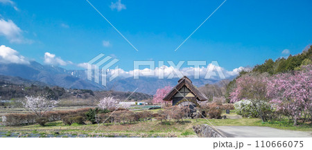 「山梨県」快晴の空と水車の里公園の桜咲く風景 110666075