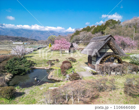 「山梨県」快晴の空と水車の里公園の桜咲く風景 110666080