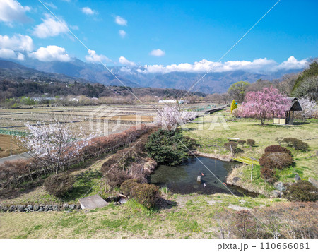 「山梨県」快晴の空と水車の里公園の桜咲く風景 110666081