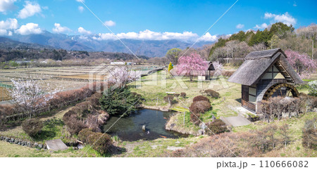 「山梨県」快晴の空と水車の里公園の桜咲く風景 110666082