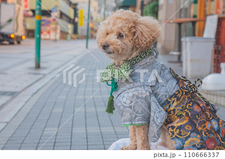 犬と袴 110666337