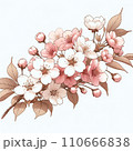 水彩で描いた桜の花のイラスト 110666838