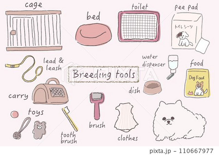 犬を飼うときの必須アイテム・お世話道具素材集 道具の名前入り ピンク 犬を飼うときの必須アイテム・お世話道具素材集 道具の名前入り ピンク 110667977