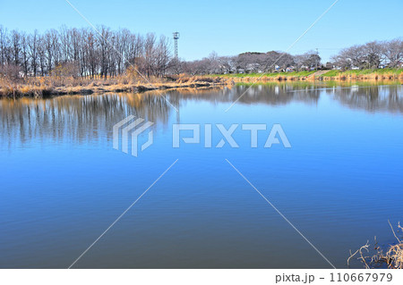冬のびん沼川の風景　水鏡　冬景色　さいたま市側からの眺め 110667979