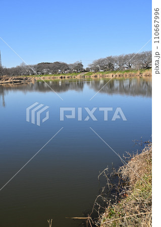 冬のびん沼川の風景　水鏡　冬景色　さいたま市側からの眺め 110667996