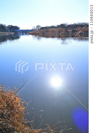 冬のびん沼川の風景　冬景色　水鏡の太陽　さいたま市側からの眺め 110668013