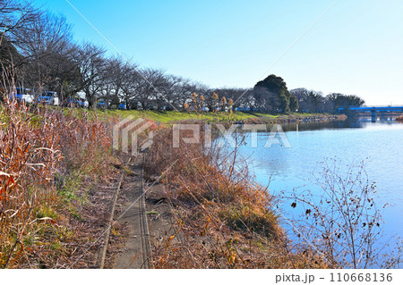 冬景色　びん沼川湖畔の風景　さいたま市側からの眺め 110668136