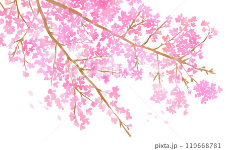 手描きの桜の花と枝の背景用イラスト 110668781