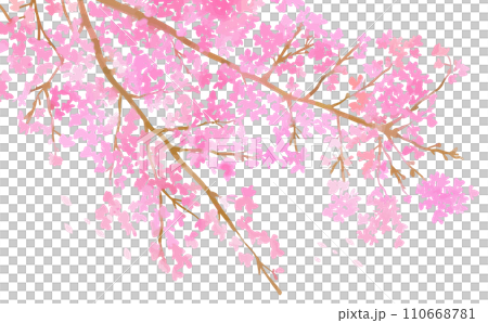 手描きの桜の花と枝の背景用イラスト 110668781