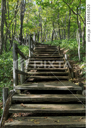 湿原展望遊歩道 110668820