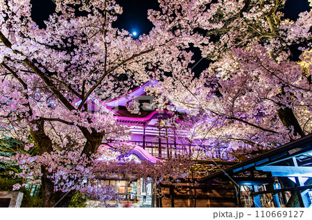 長野 高遠城址公園の夜桜 高遠閣 長野 高遠城址公園の夜桜 高遠閣 110669127